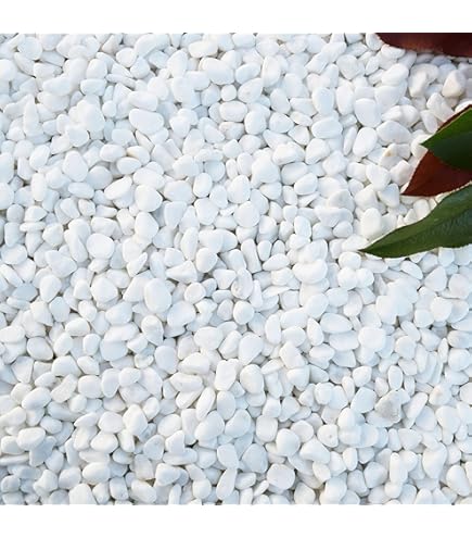 Amazon.co.jp: 高級玉砂利 2分（4mm～7mm）5kg 白玉石 砂利 砕石 玉石